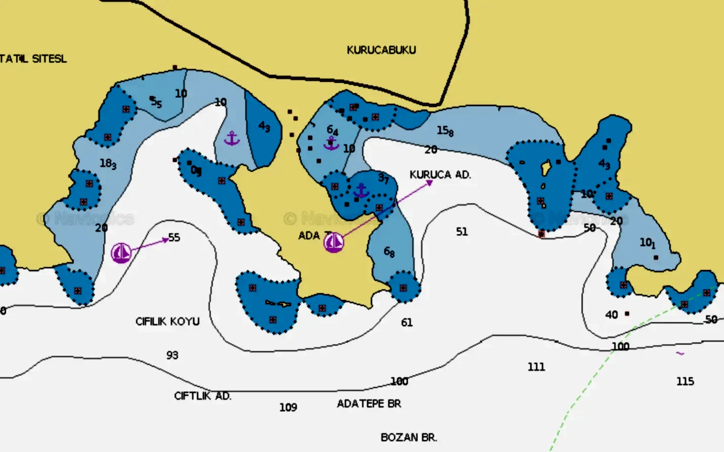 aktur-kurucabuk-1284586931 Aktur-Kurucabük