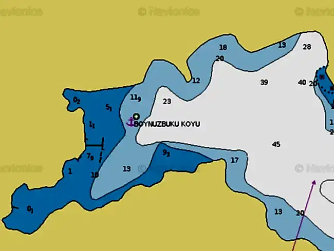 boynuzbuku-16160577 Boynuzbükü